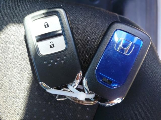 26973606_carP_l_9.jpg