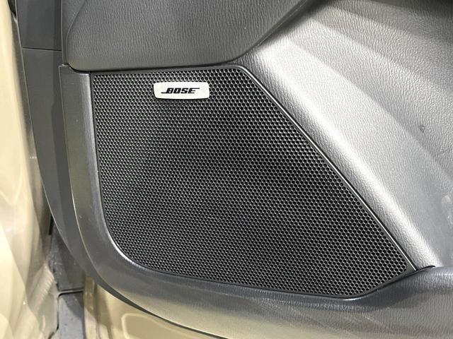 24602382_carP_l_15.jpg