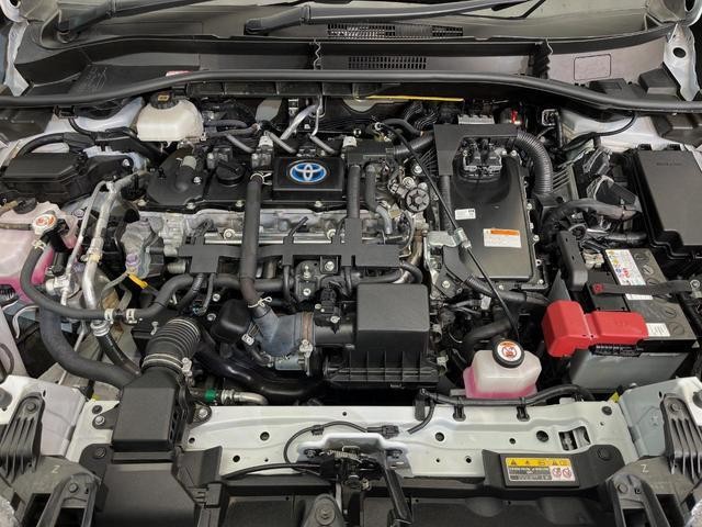 26968273_carP_l_18.jpg