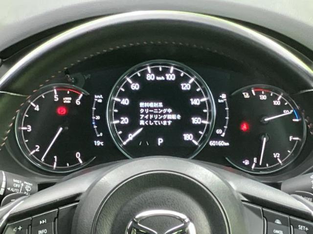 23267416_carP_l_7.jpg