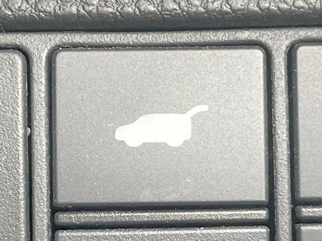 25323808_carP_l_17.jpg