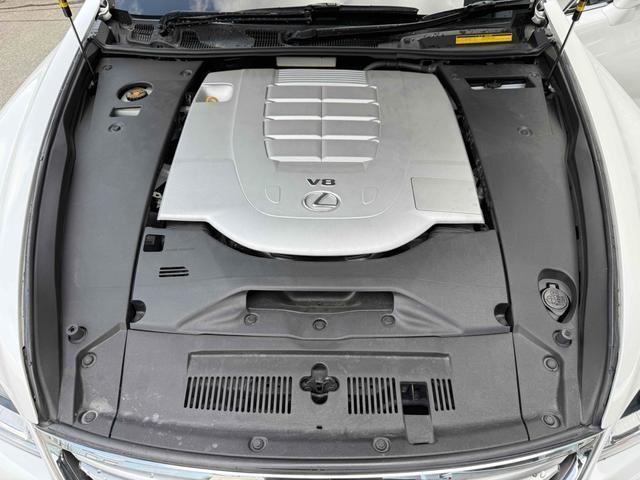 24557313_carP_l_20.jpg