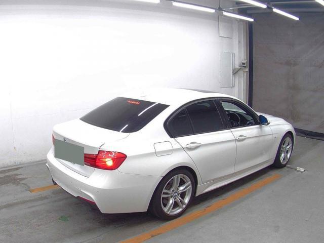 24602069_carP_l_10.jpg