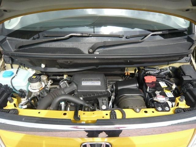 23220732_carP_l_5.jpg