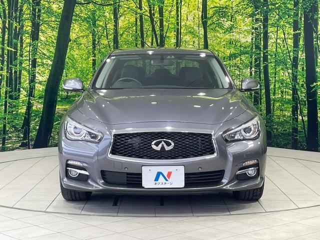 25158474_carP_l_8.jpg