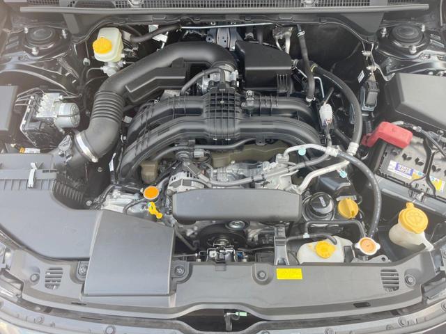 24520992_carP_l_16.jpg