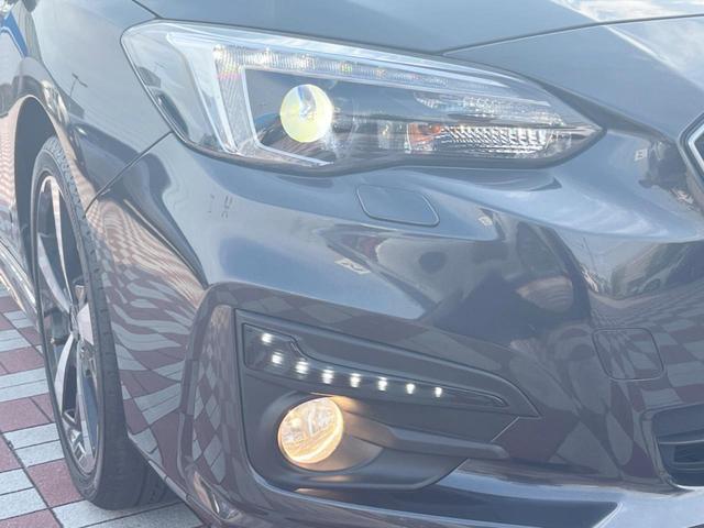 24520992_carP_l_6.jpg
