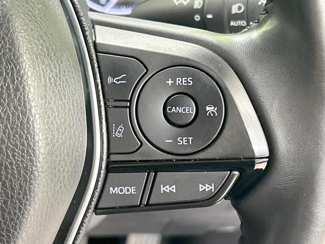 25241869_carP_l_10.jpg