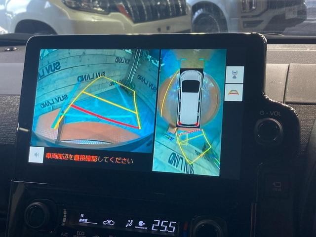 25241284_carP_l_4.jpg
