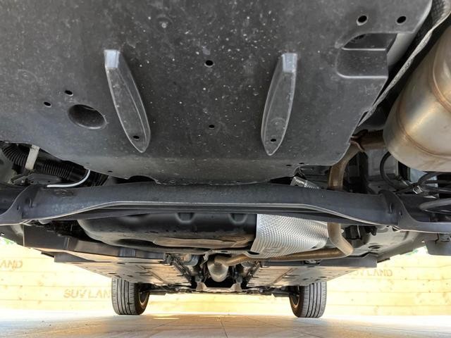 25774328_carP_l_18.jpg