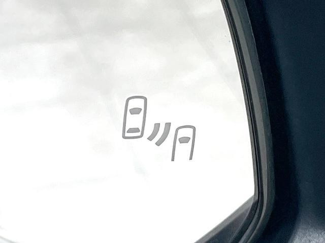 25096957_carP_l_13.jpg