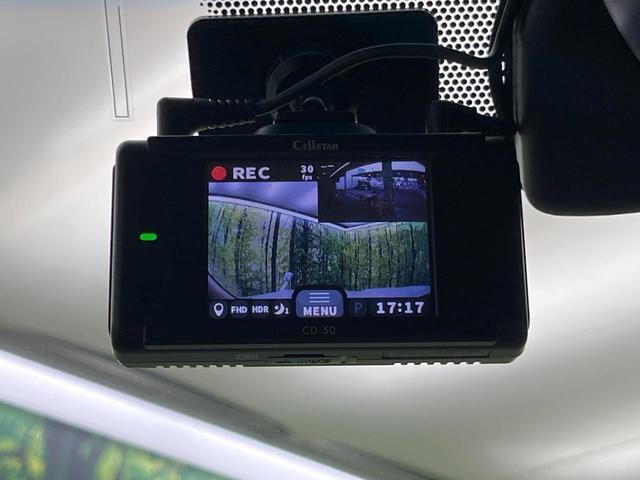 23635334_carP_l_17.jpg