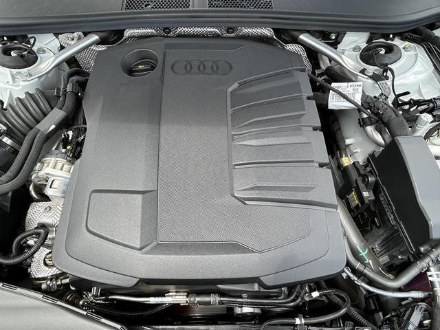 25749454_carP_l_16.jpg