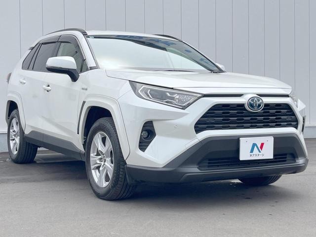 25262115_carP_l_12.jpg