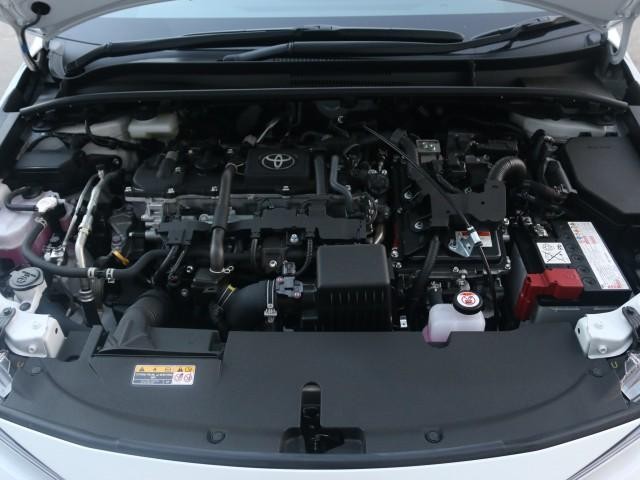 25268210_carP_l_17.jpg