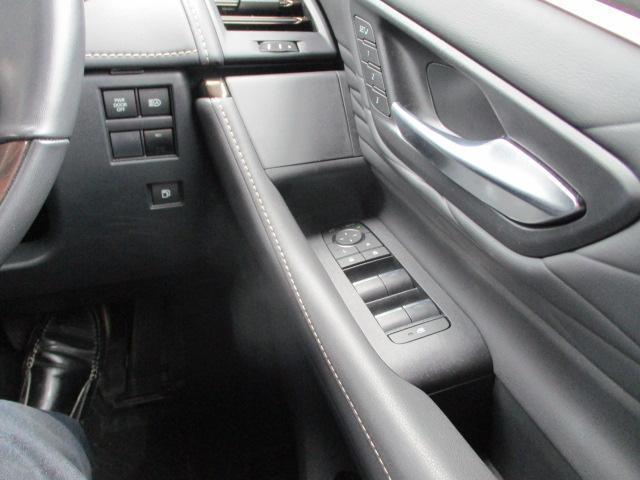 24602282_carP_l_20.jpg