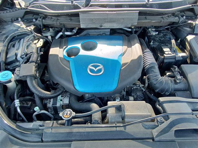 08.jpg