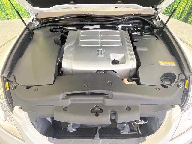 25199601_carP_l_11.jpg