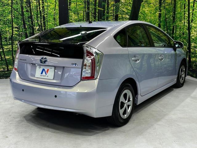 24481865_carP_l_11.jpg