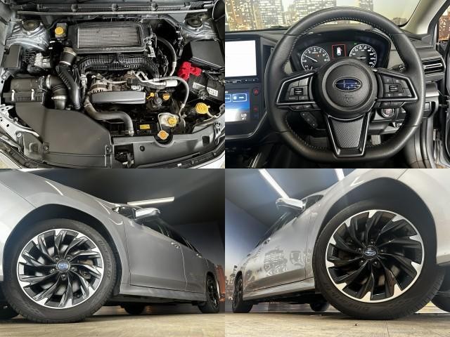 25657994_carP_l_15.jpg