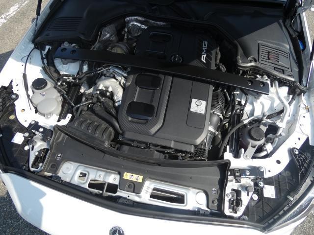 25283257_carP_l_20.jpg