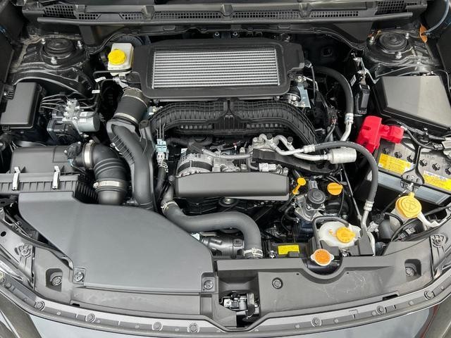 26126401_carP_l_16.jpg