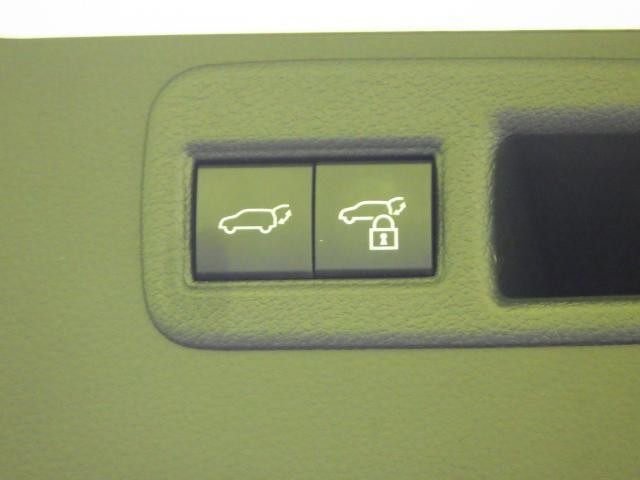 26854498_carP_l_6.jpg