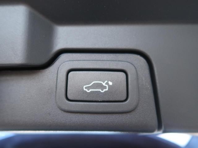 25774451_carP_l_7.jpg