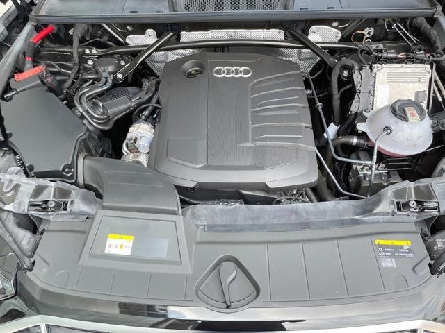 25962916_carP_l_18.jpg