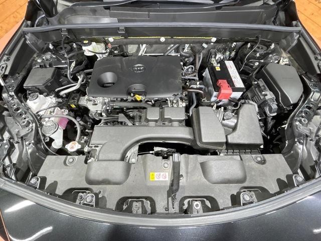 25487292_carP_l_16.jpg