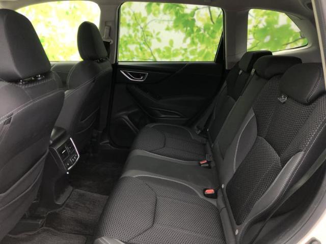 21785983_carP_l_14.jpg