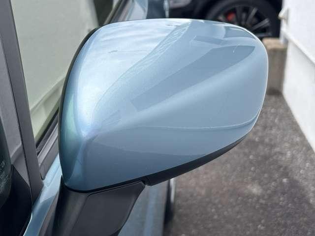 25672236_carP_l_9.jpg