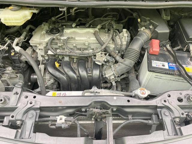 23846292_carP_l_12.jpg