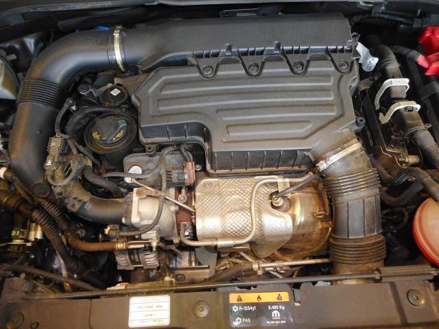 25628326_carP_l_20.jpg