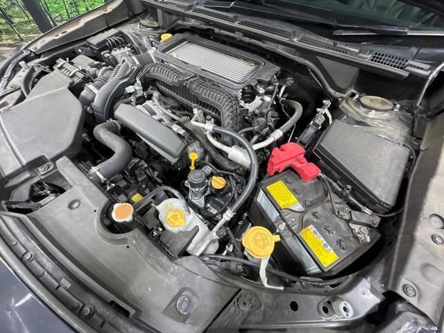22916464_carP_l_20.jpg
