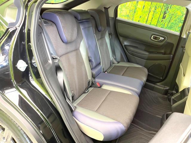 24828343_carP_l_19.jpg