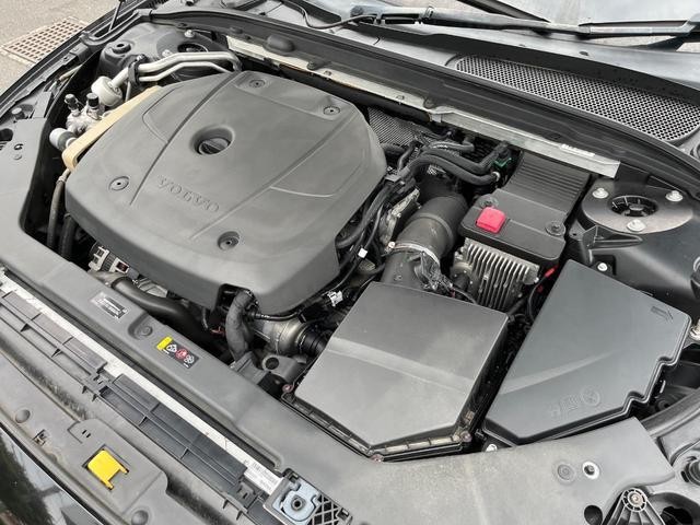 25056582_carP_l_9.jpg