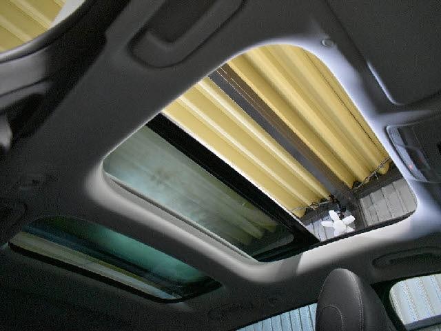 26252464_carP_l_10.jpg