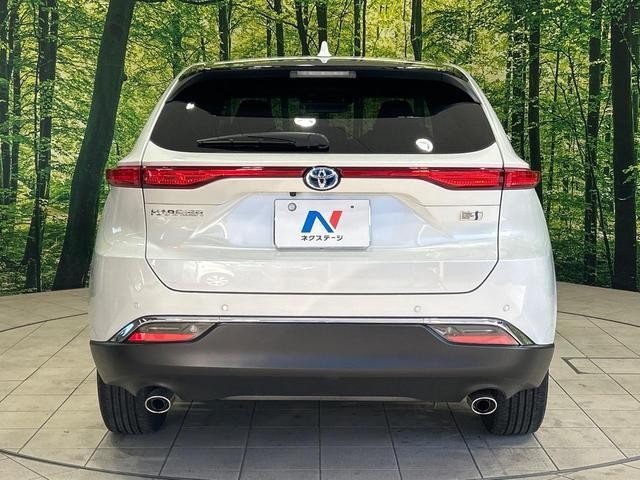 25774654_carP_l_9.jpg