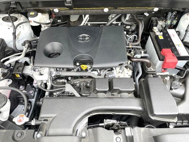 26861811_carP_l_18.jpg