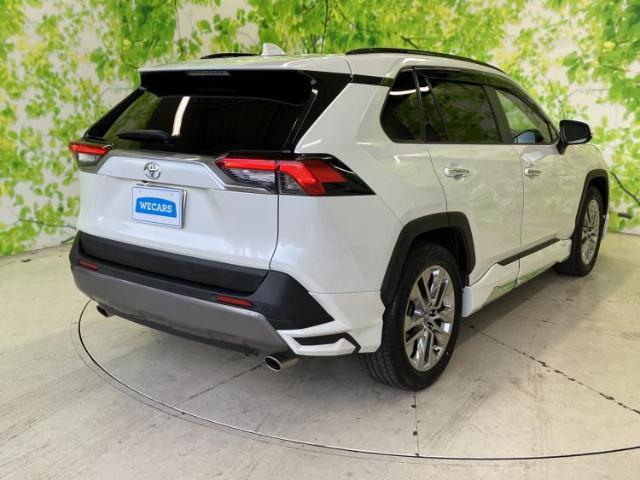 21848144_carP_l_15.jpg