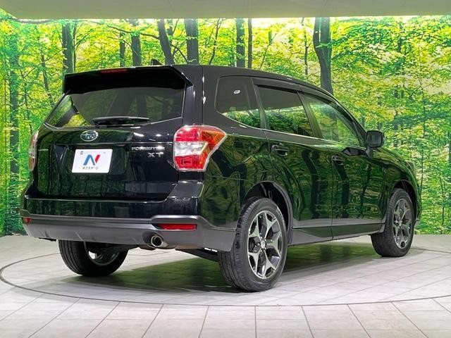 25774540_carP_l_12.jpg