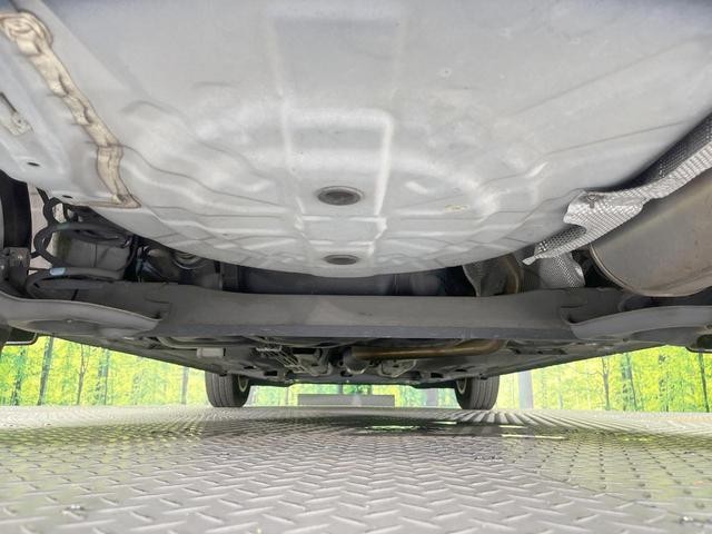 26230543_carP_l_18.jpg