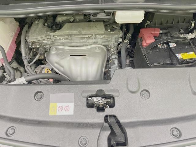 25632377_carP_l_16.jpg