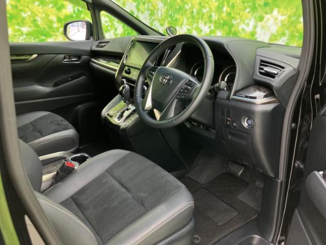 21859803_carP_l_4.jpg