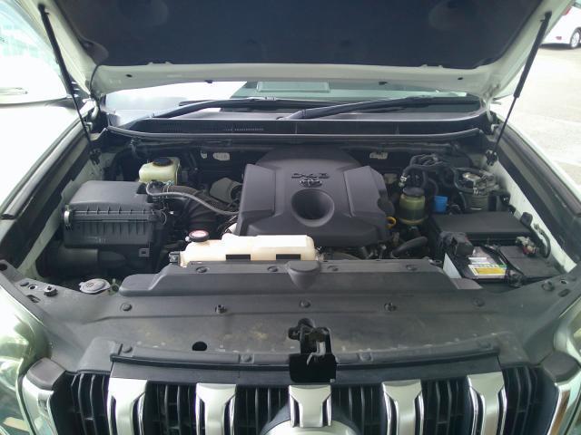 24706341_carP_l_6.jpg