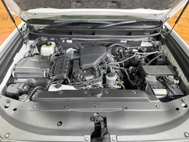 23925713_carP_l_18.jpg
