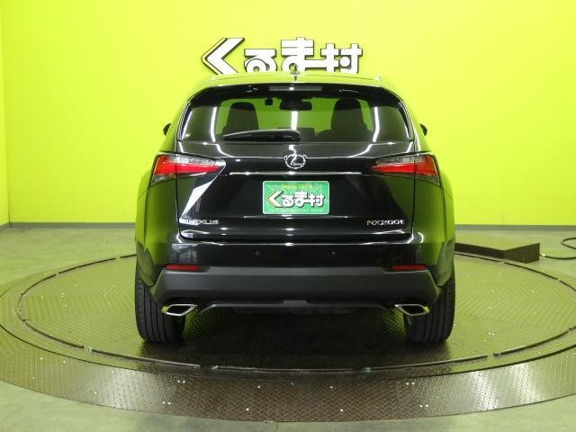 26940212_carP_l_18.jpg