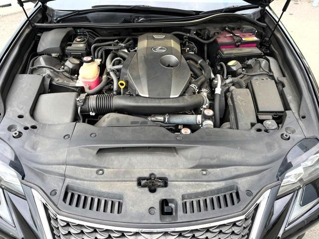 26126947_carP_l_16.jpg