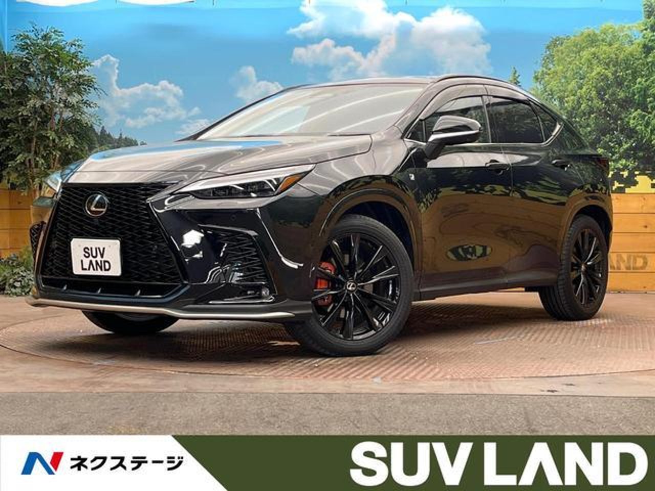 2025 Lexus Nx, photo 1 of 1